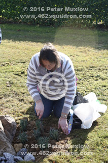 Bredensheid Cemetery, 8 October 2016, Julia Muxlow during site preparation for Memorial Plaques for Crew of Halifax MZ400 Z5-J, 462 Squadron.